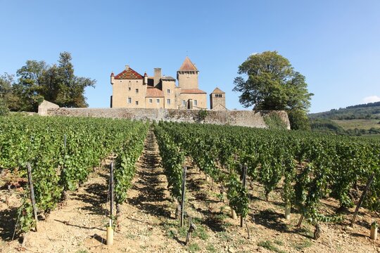 Castle of Pierreclos in Burgundy, France
