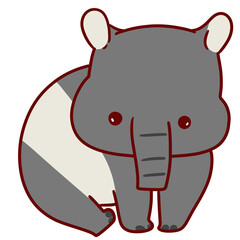 tapir animal