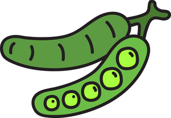 vegetable hand drawn illustration