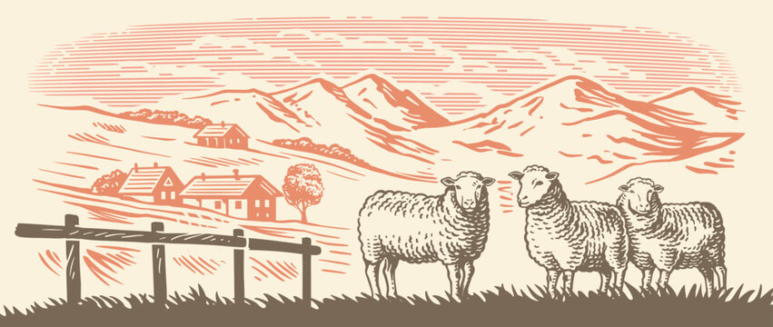 Sheep farm in Alps. Village meadow hand drawn sketch