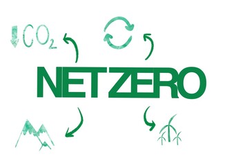 net - zero graphic illustration for a sustainable advertisement or a sustainable business