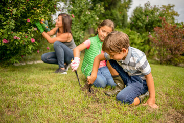Naklejka na ściany i meble Children digging for planting while their mom take care of plants in backyard garden