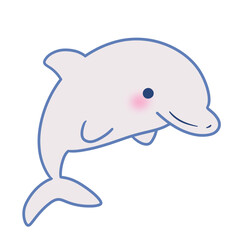 dolphin sea animal