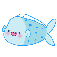 fish sea animal