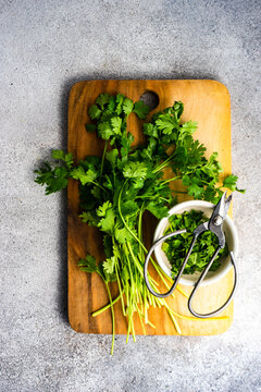 Fresh Coriander Herb