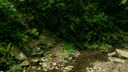 Mountain river among large stones in a green forest with small waterfalls. Sochi, Lazarevskoe, Berendeevo kingdom