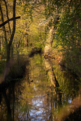 Autumn in the Łężczok bird sanctuary in Poland