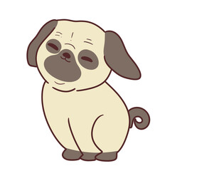 Cute dog puppy pet