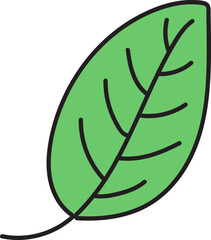 leaf hand drawn icon