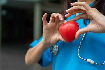 Female Cardiovascular disease doctor or cardiologist with stethoscope holding red heart, Medical...