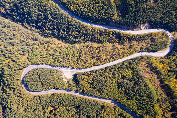 Autumn landscape view of the road bend in the mountains, aerial shot