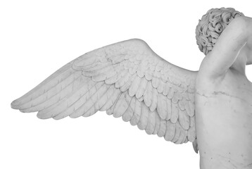 Ancient statue. Wing of angel. Statue detail isolated on white background with clipping path