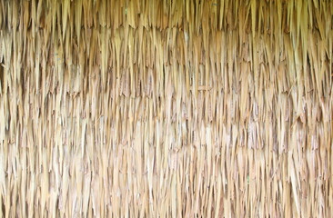 Texture of the classic thatch roof, tropical roofing
