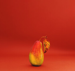 Pear with yellow leaf on beige background. Autumn mood. Bold hues for basis designs and seasonal...