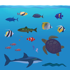 Vector illustration of water surface and underwater exotic fishes and sea turtle - obrazy, fototapety, plakaty