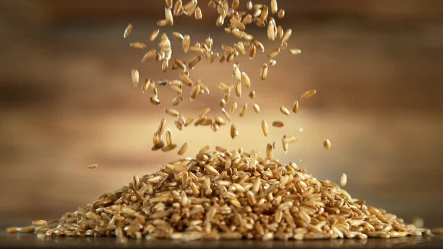 Falling of grain oats close-up, macro shot. Filmed on high speed cinematic camera at 1000 fps.