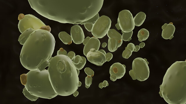 3D render. Yeast betaglucan yellow color with rounded angles on dark background