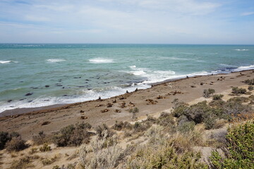 Fototapeta na wymiar Puerto Madryn