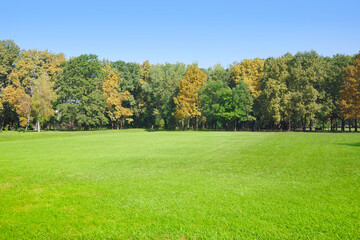 Autumn forest with yellow and green trees against the blue sky and green grass.