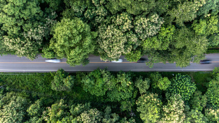 Aerial top view asphalt road in forest with car motion blur, Winding road through the forest, Car drive on the road between green forest.