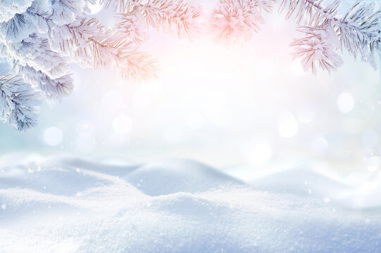 Beautiful light background image for an invitation or postcard on a New Year's theme with snow-covered spruce branches and a pristine snowy surface.