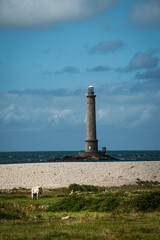 Phare et vache