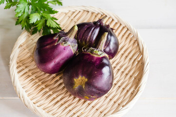 信州の伝統野菜　小布施丸なす