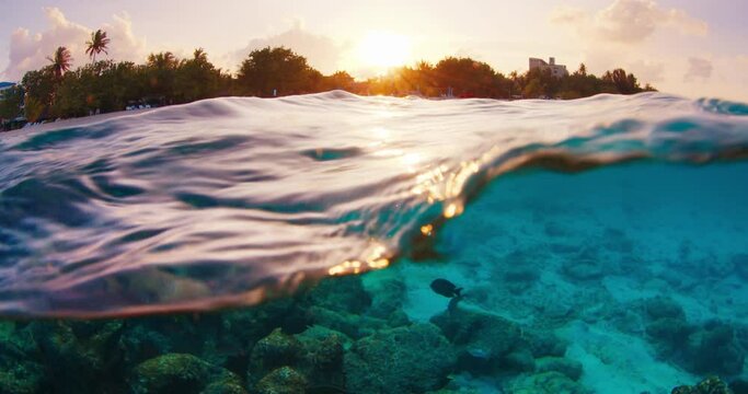 Split view of the tropical sea and island during sunset in the Maldives