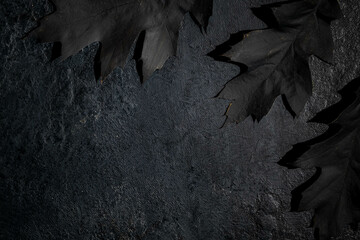 Black autumn leaves on a black background. halloween concept