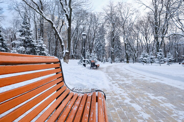 snow covered bench in a park