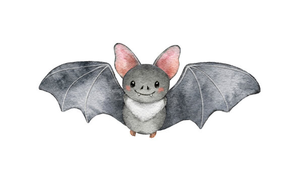 Watercolor halloween cute bat illustration isolated on white background. Animal baby print. Funny cartoon character for fall spooky holiday decoration, invitation, card