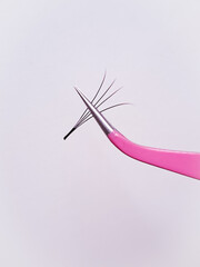 Close up of tweezer with bunch of fake lashes for eyelash Extensions