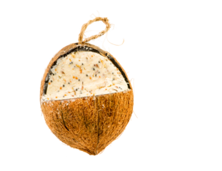 Isolated cocunut fat feeder for birds
