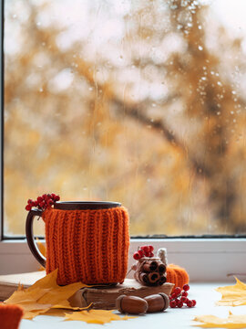Rainy Day Coffee Images Browse 3 046 Stock Photos Vectors And Video Adobe Stock