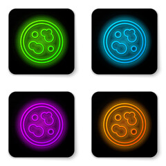 Glowing neon line Petri dish with bacteria icon isolated on white background. Black square button. Vector Illustration