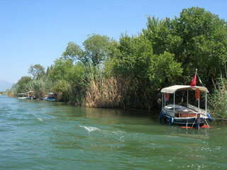 Naklejka premium boat on the river