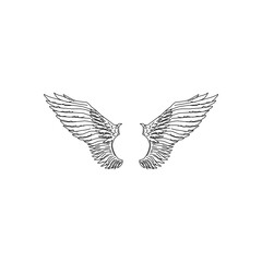 Fototapeta premium Vintage heraldic wings sketch. Doodle stylized birds wings. Hand drawn contoured stiker wing in open position. Design elements in coloring style
