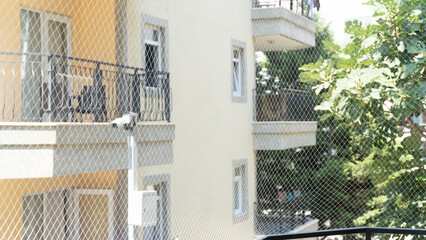Cat safety net in balcony. Balcony net for cats.
