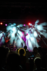 Viviendo el momento en un concierto.