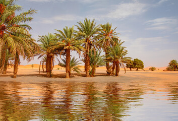Sand dunes surround the oasis - Sahara, Morocco - obrazy, fototapety, plakaty