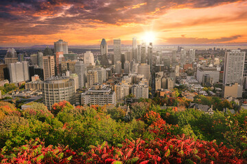 Montreal sunrise with colourful leaves
