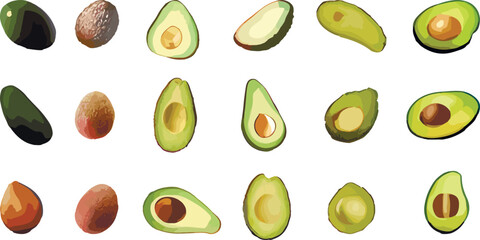 set of avocado isolated, avocado delicious 