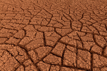 Cracked clay in the desert