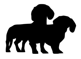Two dachshund dogs stand side by side silhouette vector.