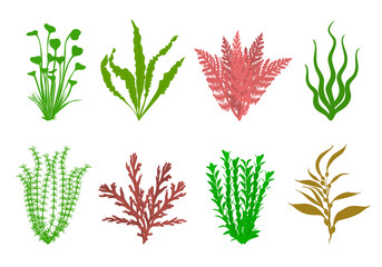 Cute aquarium plants set. Vector flat illustration