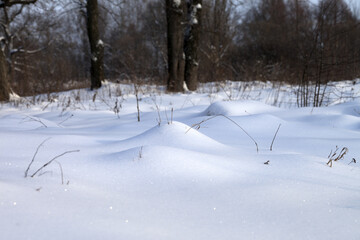 Snowdrift in winter forest