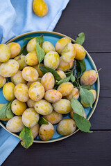 Harvest fresh yellow and red plums in summer. A plate of plums stands on a table in the garden. Healthy food concept.