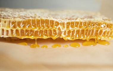 honeycombs close-up. Natural sweets, the benefits of honey, the treatment of sore throats and orvi....