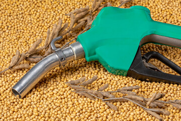 Diesel fuel nozzle and soybeans. Biodiesel, biofuel, agriculture and renewable clean energy concept.  - obrazy, fototapety, plakaty