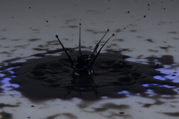 Black paint drop on a White background